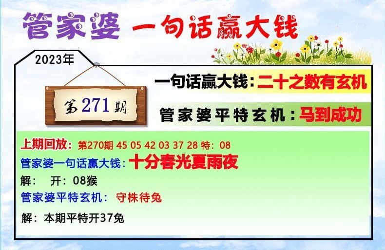 202管家婆一肖一码,全面理解执行计划_Mixed82.751