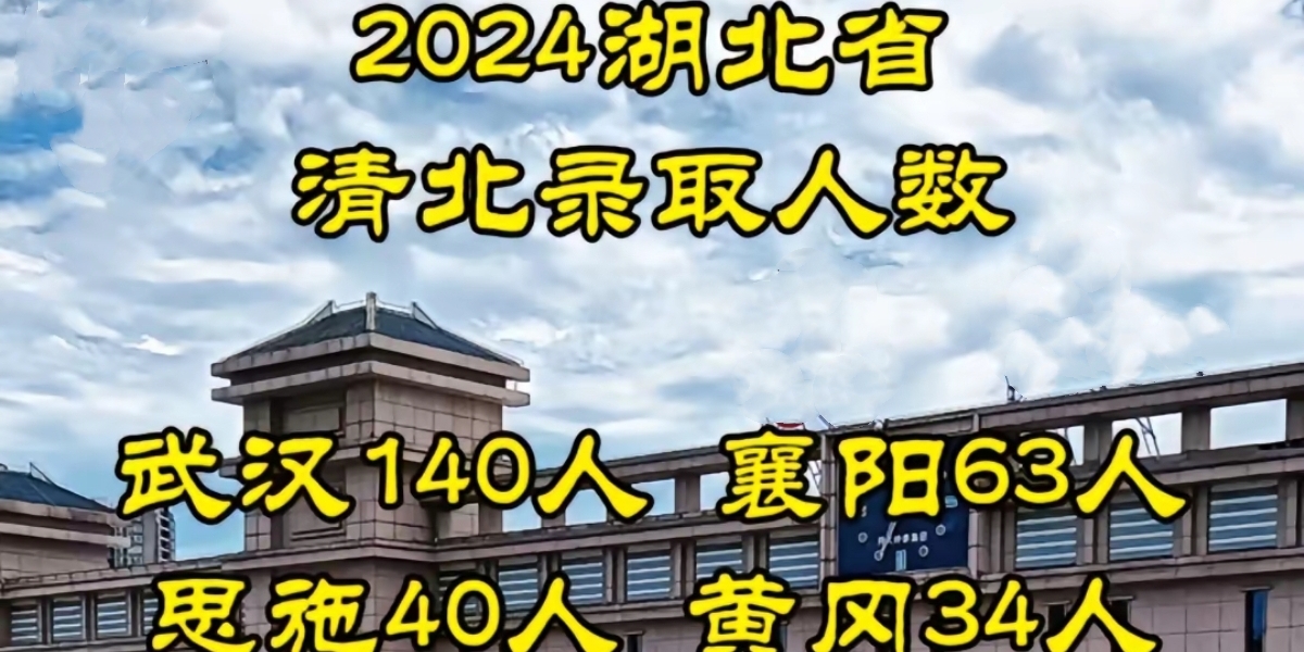 2024新澳免费资料大全,快速解答策略实施_iPad11.356