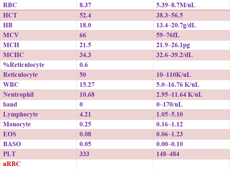 626969澳彩资料大全2021期42,经典解释落实_尊贵版29.287