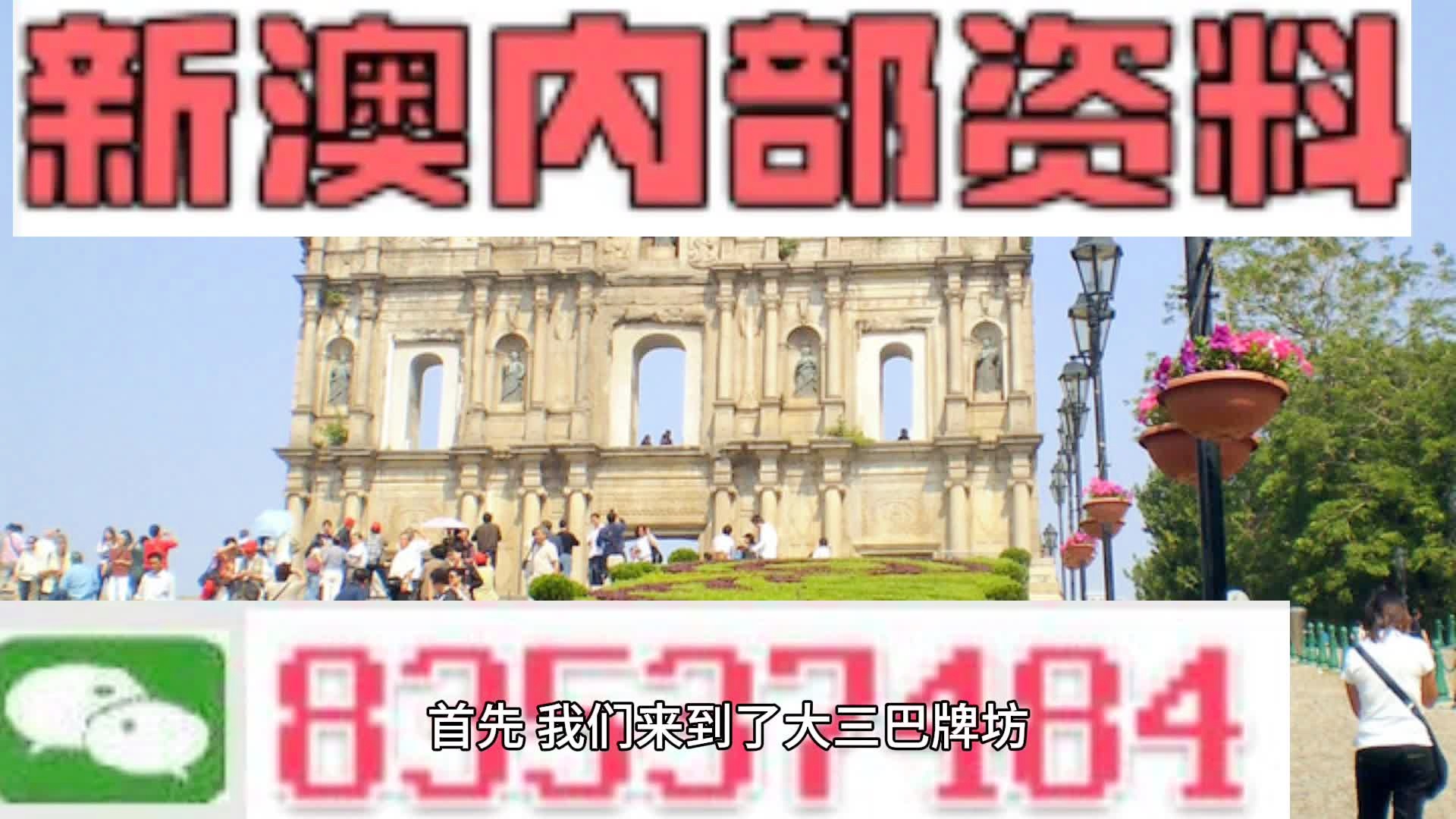 2024新澳免费资料绿波,决策资料解释落实_36010.196