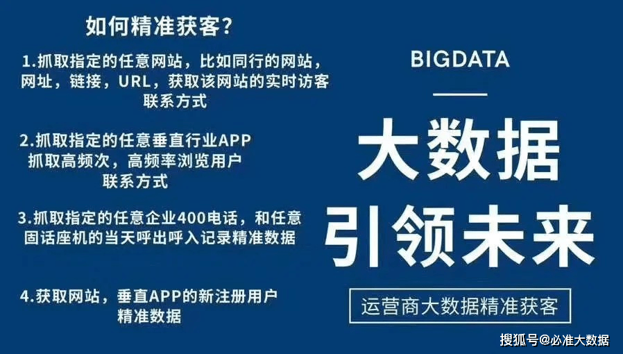 2024新澳精准资料大全,结构解答解释落实_YE版65.625