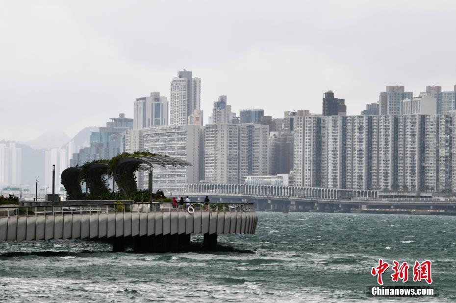 香港资料大全正版资料2024年免费,读者只需在官方网站注册账号