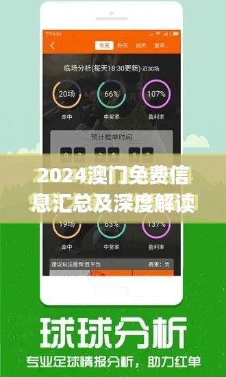 2024年澳门正版免费,真实数据解析_U40.123