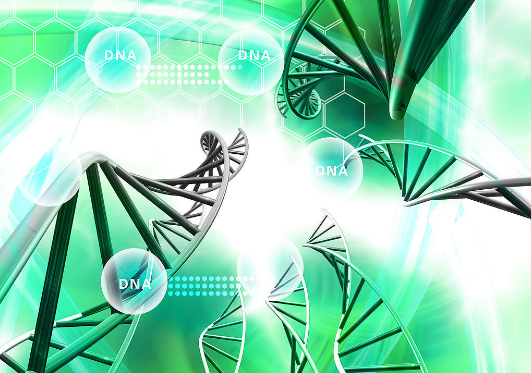 最新生物科技，探索生命科学未来之路的征程