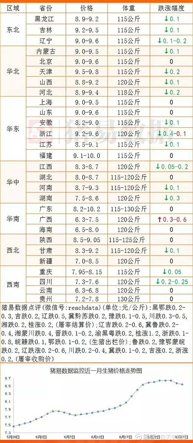 今日猪价行情走势解析