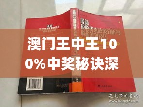 新澳门王中王100%期期中,安全性执行策略_RX版97.153