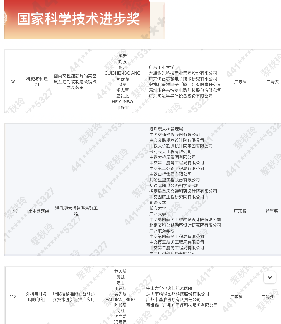 新澳2024年精准正版资料,经典解析说明_豪华款15.102