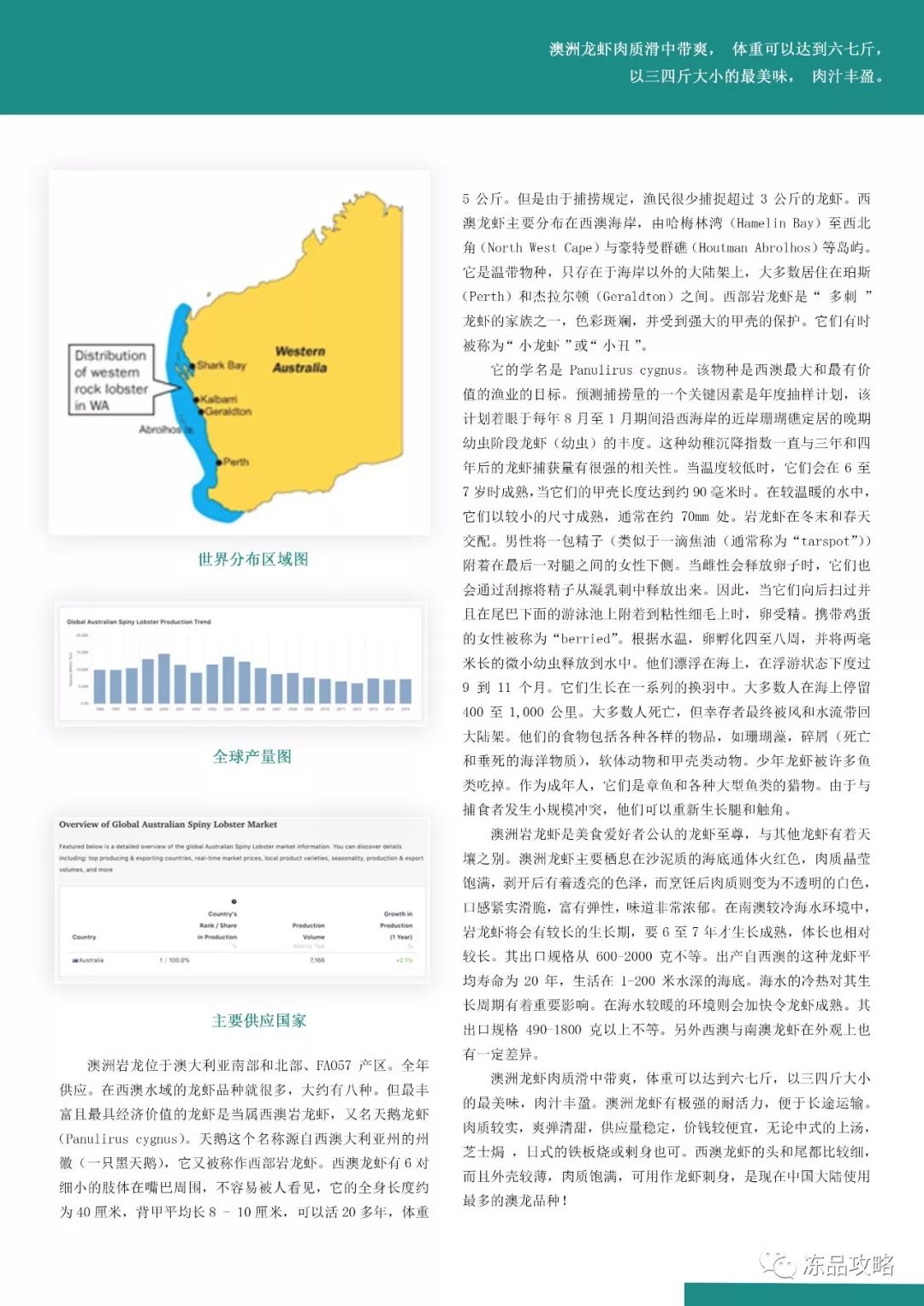 2024新澳最准确资料｜多元化方案执行策略