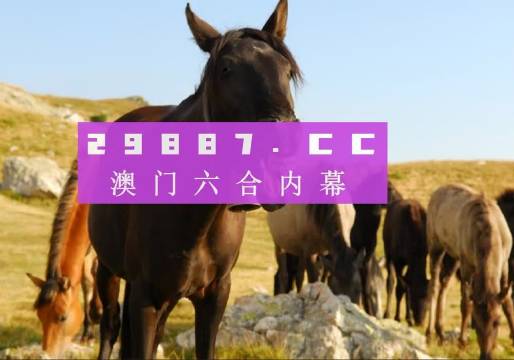 澳门管家婆一肖一码一特｜全面数据应用分析