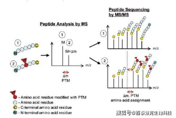 新澳门今晚开奖结果号码是多少｜广泛的解释落实方法分析