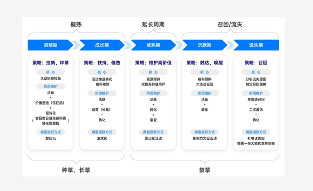 新奥精准资料免费提供彩吧助手｜多元化方案执行策略