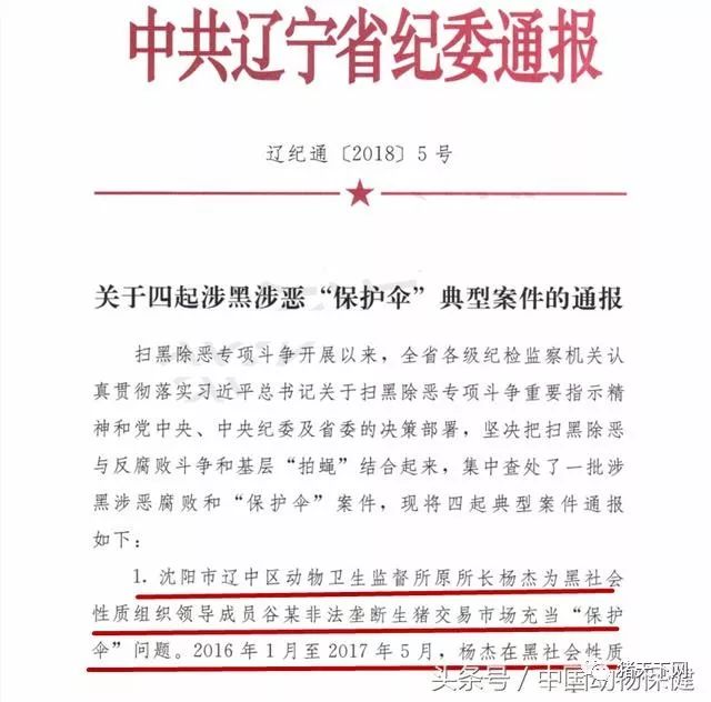 辽宁省纪检通报深化监督执纪，推动全面从严治党向基层延伸的新进展