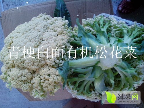 松花菜价格最新行情解析